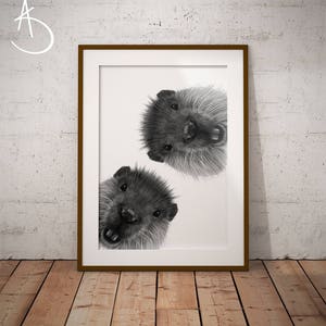 Curious Beaver Drawing: Printable Animal Poster (Digital Download)