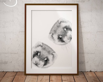 FERRET Drawing download, Ferret Wall decor, Curious Ferrets Print, Printable Ferret Poster, Animal Decor, Animals Print, Animal Art, Ferret