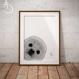 BABY SEAL PRINT, Peekaboo Animals, Arctic Animals, Baby Seal Printable, Printable Poster, Seal art, Peek a Boo, Seal Prints, Baby Seal Print