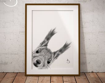 CUTE PEEKABOO SQUIRREL Drawing download, Wall decor, Peekaboo Squirrel Print, Printable Squirrel Poster, Peekaboo Animals, Squirrel Decor