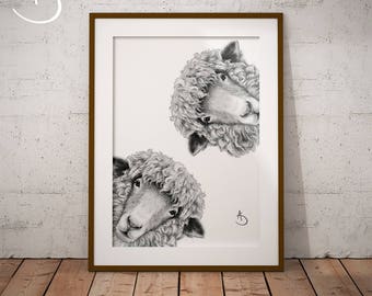 CUTE CURIOUS SHEEP Drawing download, Sheep Wall decor, Curious Sheep Print, Printable Sheep Poster, Sheep Decor, Curious Animals, Sheep Art