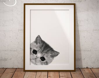 CUTE PEEKABOO Kitten Drawing download, Wall decor, Peekaboo Kitten Print, Printable Kitten Poster, Kitten Decor, Peekaboo Animals, Kitten