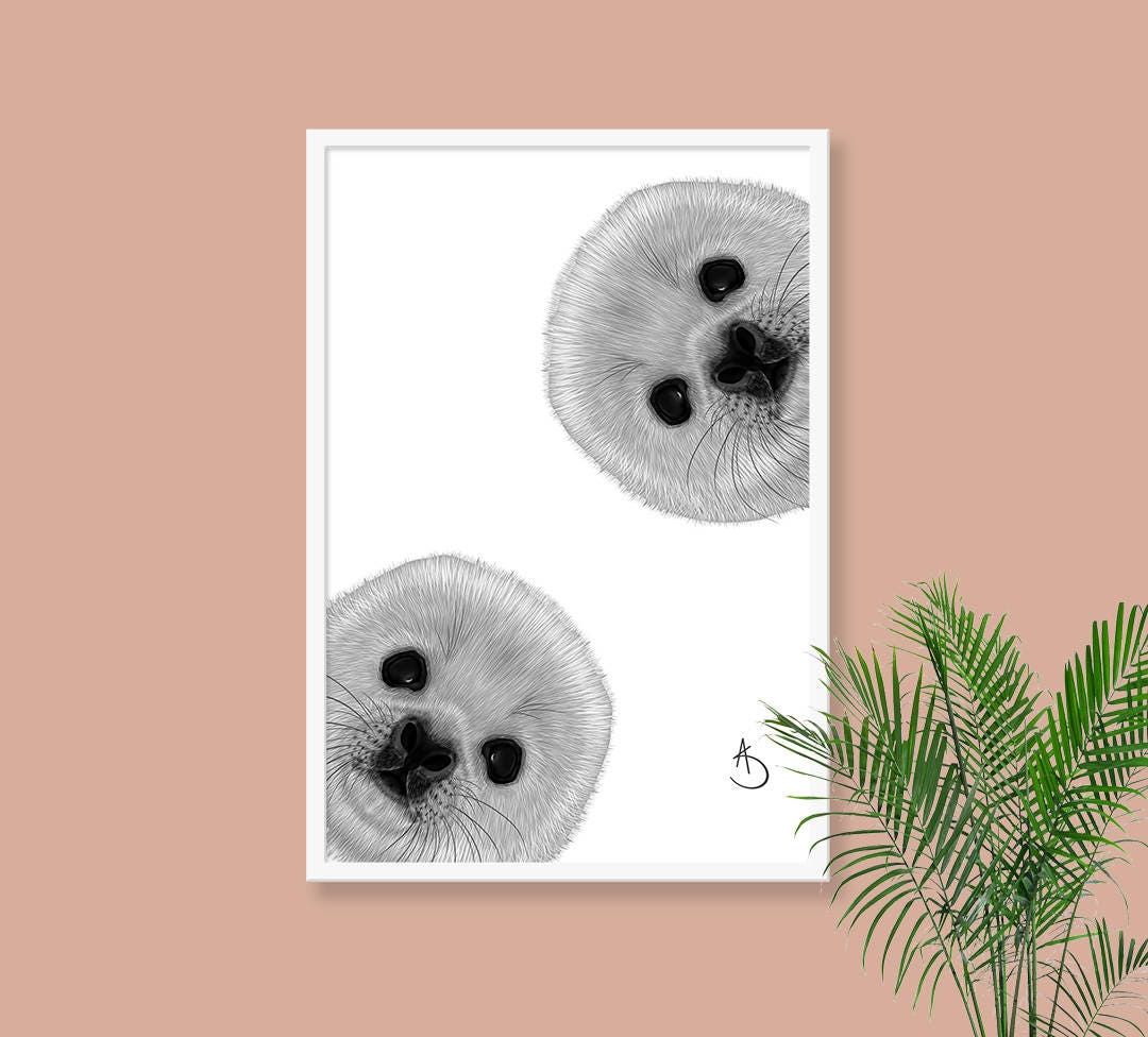 BABY SEAL PRINT Download Print Seal Wall Decor Baby Seal - Etsy
