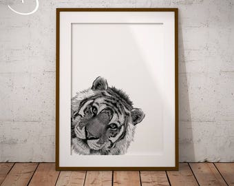 CUTE PEEKABOO TIGER Drawing download Print, Tiger decor, Peekaboo Tiger, Printable, Nursery Decor, Peekaboo Animals, Jungle Animal, Print