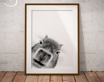 PEEKABOO CAPYBARA Drawing download, Capybara decor, Peekaboo Capybara , Printable Capybara Poster, Prints, Nursery Decor, Peekaboo Animals