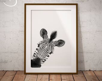 PEEKABOO ZEBRA Drawing download, Zebra decor, Peekaboo Zebra, Printable Zebra Poster, Zebra, Nursery Decor, Peekaboo Animals, Zebra PRINT