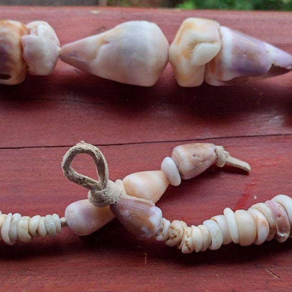 Shell Necklace