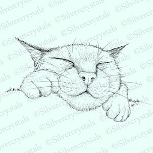 Cat Digital Stamp Kitty Kitten Clipart Cute Paws Pretty Sleeping Sleepy Digi Clip Art Face Portrait Scrapbooking Birthday Card Drawing Page