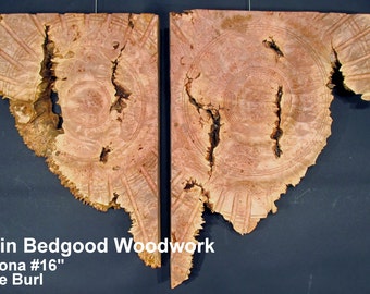 Sculpture Corona 16, Turned wood, Lathe Sculpted Artwork, Wall Hanging, Wall Art