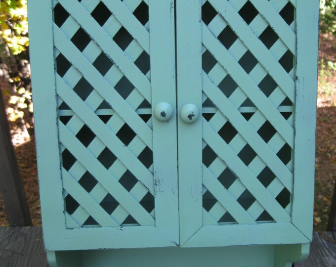 Mint Green Shabby Chic Wall With Doors and Pegs, Storage Shelf