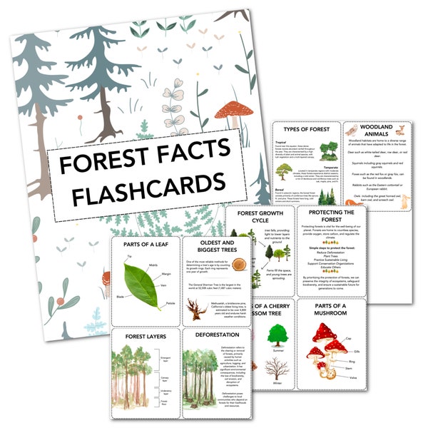 Forest Flash Cards, homeschool, nature study, botany, science, elementary, woodland, forest, parts of a leaf, printable flash cards