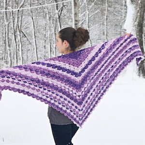 May include: A handmade, purple and white crochet shawl. The shawl is a V-shape, with alternating stripes of light and dark purple. The background is a snowy forest scene.