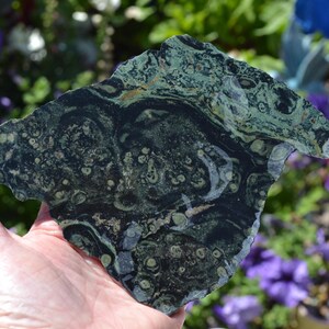 Kambaba Jasper slab
