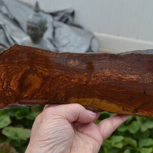 Biggs Jasper slab