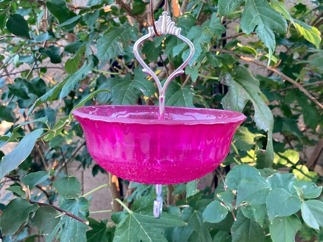 Ant Moat, Fancy Large Ant Trap, Ant Prevention, Natural Ant Prevention