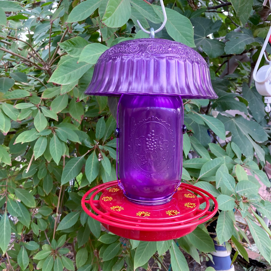 Mason Jar Hummingbird Feeder Pressed Glass Bowl Shade Rain Guard Baffle