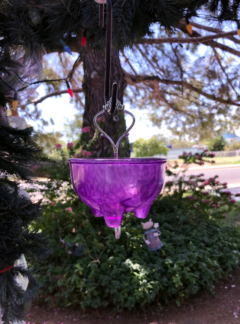 Ant Moat Ant Trap Ant Prevention Natural Ant Prevention Etsy