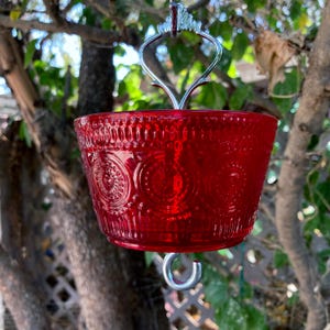 Fancy Ant Moat: Natural Ant Prevention for Bird Feeders