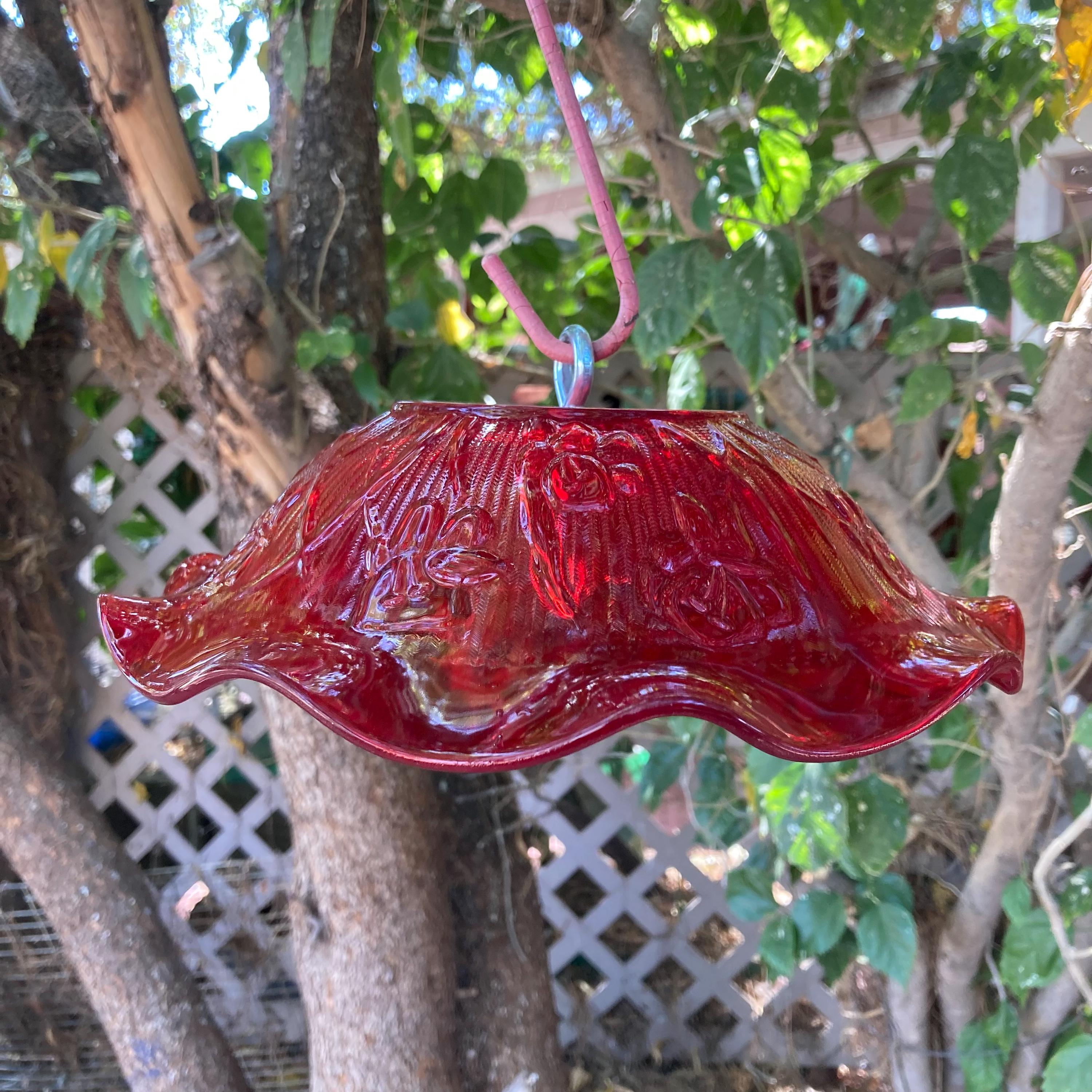 Hummingbird Bowl - Etsy