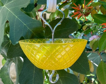Fancy Ant Moat: Natural Ant Prevention for Bird Feeders
