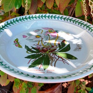 Vintage Botanic China Bird Bath: Macrame Hanging Bird Feeder