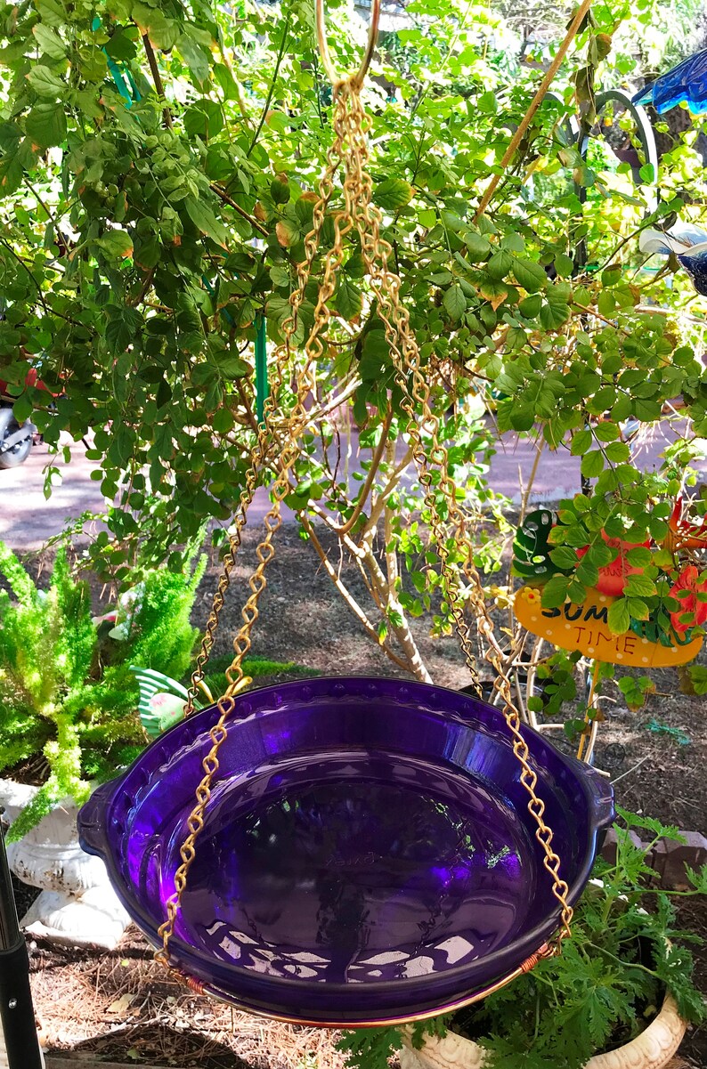 Bird Bath Bird Feeder Hanging Bird Bath Glass Pie Plate Etsy