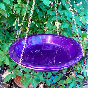 Bain d'oiseau suspendu en verre : assiette à tarte violette avec chaîne en or