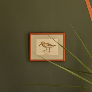 May include: A framed watercolor painting of a small brown and white bird with a long beak standing on a branch. The painting is set against a green background.