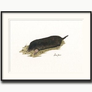PRINT -Mole painting, mole watercolor, mole print, mole art, mole mouse painting, small mouse print, mole animal art, garden art