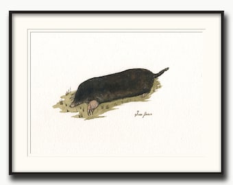 STAMPA - Dipinto di talpa, acquerello di talpa, stampa di talpa, arte di talpa, dipinto di topo di talpa, piccola stampa di topo, arte di animali di talpa, arte da giardino