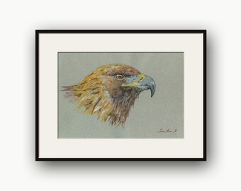 Golden eagle original watercolor painting, eagle illustration, Aquila Chrysaetos, golden eagle painting, eagle decoration draw by Juan Bosco