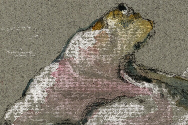 PRINT-Hammerhead shark fish art wall decor print watercolor | Etsy