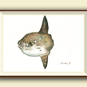 Sunfish Mola Mola fish  print -  Sunfish painting art print - Mola mola fish art nursery fishing decor - Art Print by Juan Bosco
