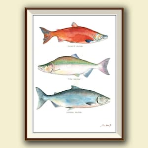 Lachs - Königslachs - Rotlachs & Königslachs - Lachs - Lachs - Kunstdruck - Kunstdruck