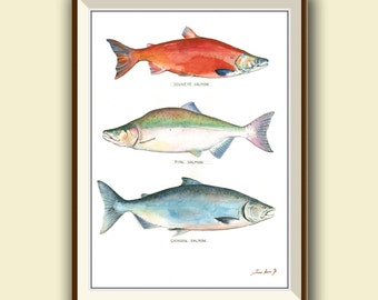 PRINT -Sockeye salmon Pink salmon & chinook salmon - salmon fish art - fly fishing painting - king salmon print - Art Print by