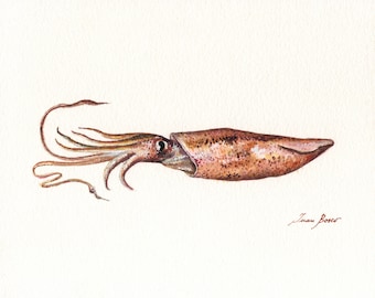 Squid painting, squid watercolor, squid print, squid art, squid illustration, fish print, fish art, fishing art by Juan Bosco