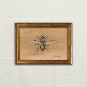 Original, NOT A PRINT - Bee art, bee charcoal sketch, minimal bee, Anthophila drawing, bee illustration, bee pencil artwork - Unframed art.