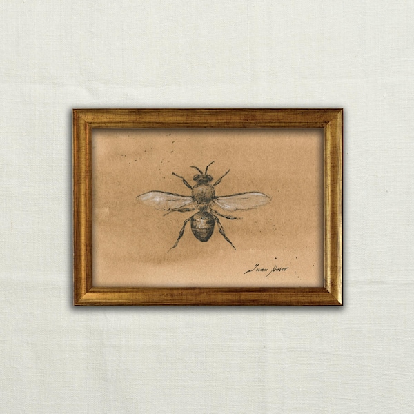 Original, NOT A PRINT - Bee art, bee charcoal sketch, minimal bee, Anthophila drawing, bee illustration, bee pencil artwork - Unframed art.