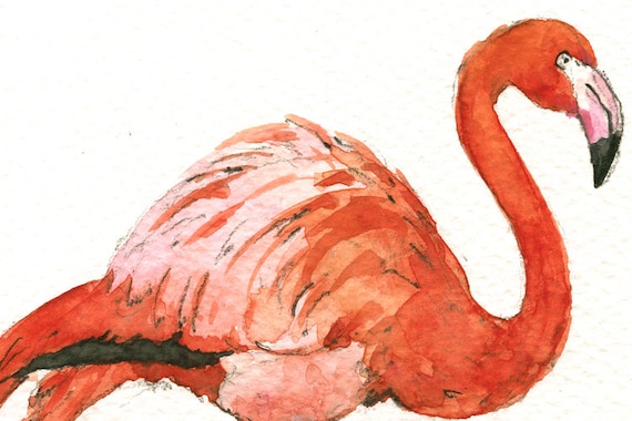 プリント - カバとフラミンゴの鳥の水彩画 - カバの絵画 - カバの 