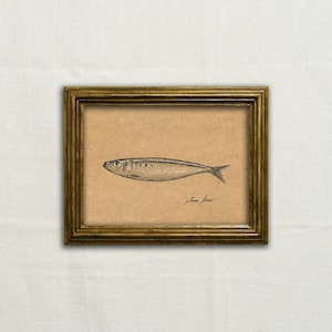 Origineel, NOT A PRINT - kunstwerk van sardine, houtskoolschets van sardine, minimale vis, klassieke tekening, illustratie van sardinepotlood - kunst zonder lijst.
