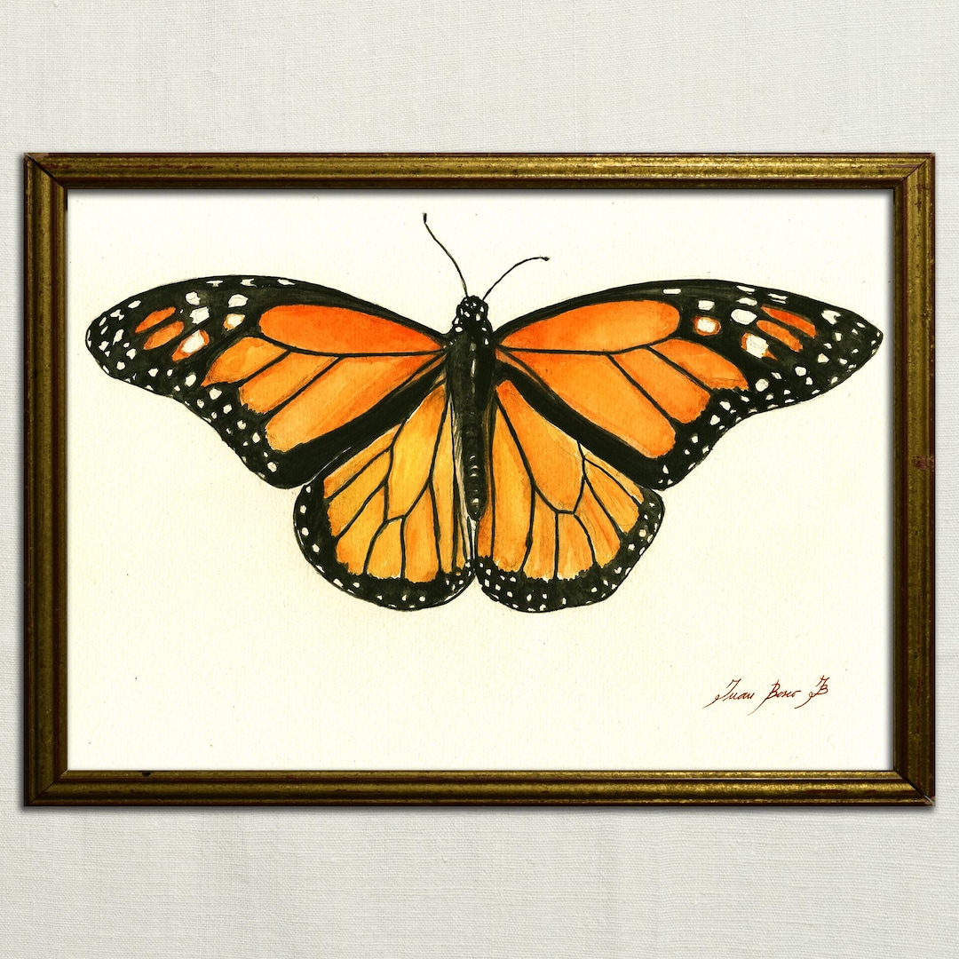 Print-monarch Butterfly - Insect Art Drawing Print Watercolor Painting ...