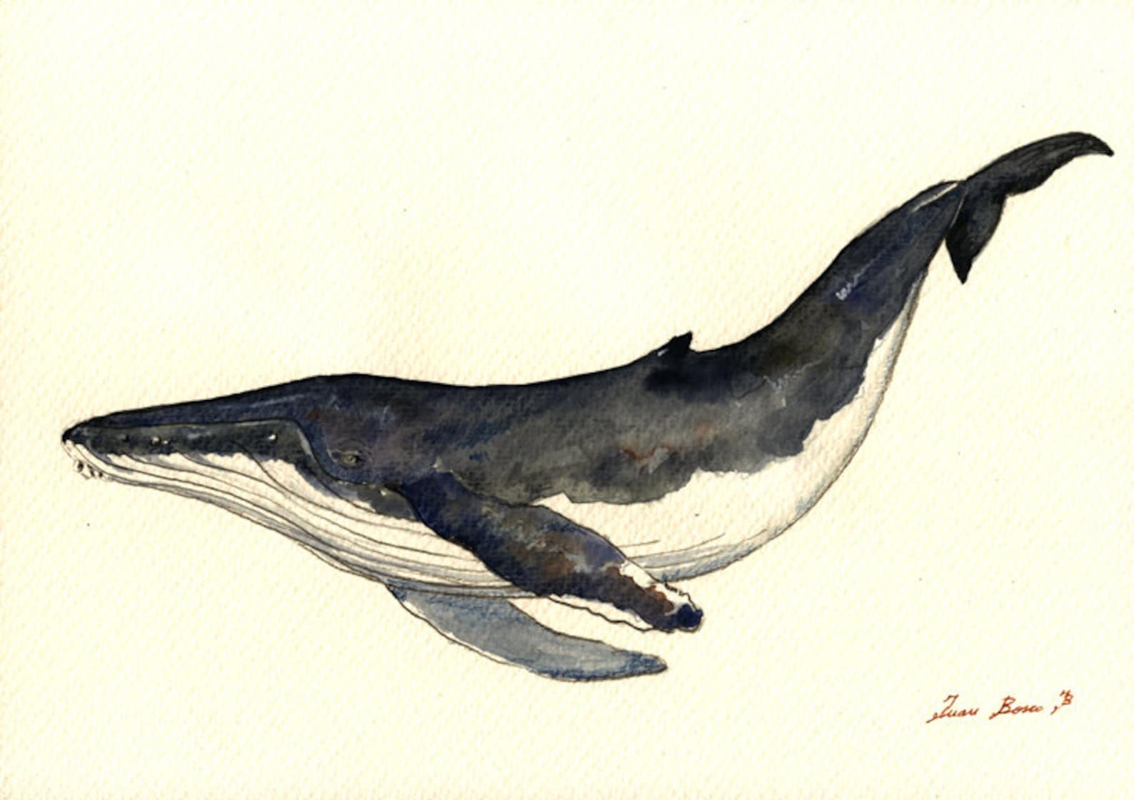 PRINT-Wal Buckelwal Kunstdruck Aquarell Malerei Ozean Blauwal | Etsy