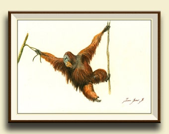 Orangutan animal - Orangutan monkey painting watercolor - Big Monkey art nursery forest animal decor - Art Print by Juan Bosco