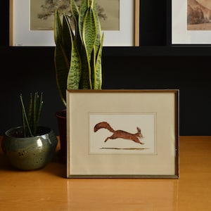 PRINT -Red Squirrel painting, squirrel print, red squirrel art, red squirrel watercolor, squirrel animal, forest animal nursery