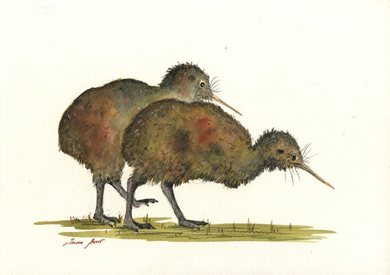 プリント - オーストラリアのキウイの絵画、キウイ鳥のプリント