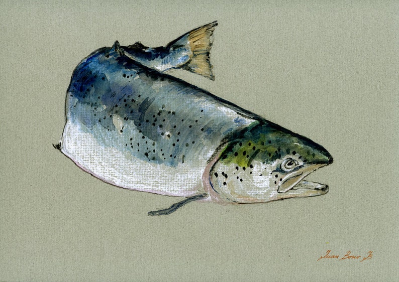 Printatlantic Salmon Fish Art Wall Painting Watercolor Etsy UK