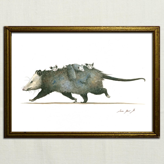 PRINT- Opossum with cubs - Opossum print - Possum art - Marsupial print watercolor painting art wall - Art Print by Juan Bosco
