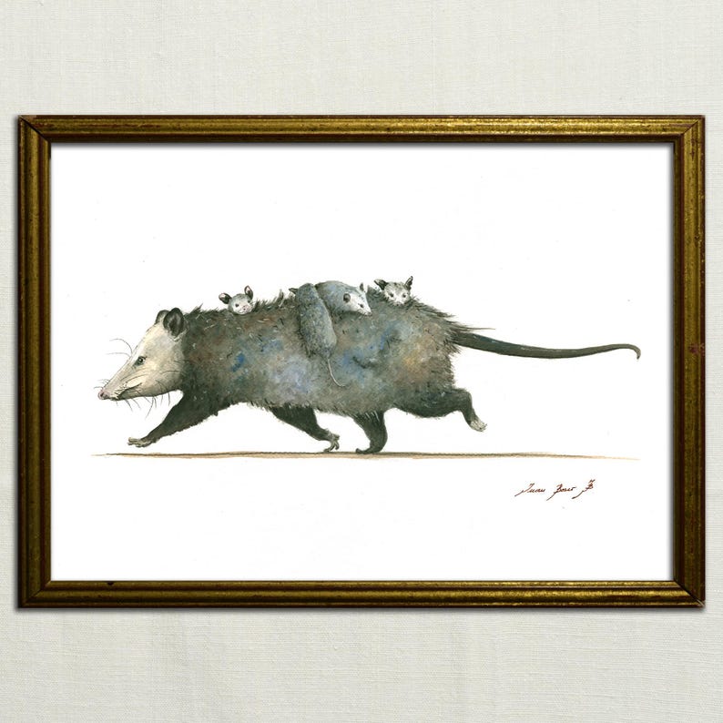 May include: A watercolor painting of a gray opossum running with three baby opossums riding on its back. The opossum is running to the right, and the babies are clinging to its fur. The painting is on a white background.