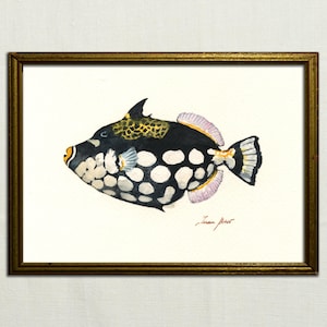 May include: Watercolor painting of a tropical fish, framed in a gold-colored frame. The fish has a black body with white spots, yellow and black markings on its head, and a yellow, black, and white tail. The artist's signature is in the bottom right corner.
