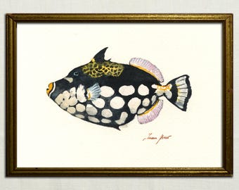 PRINT -Clow Triggerfish painting, clown triggerfish watercolor, triggerfish art, triggerfish print, triggerfish deco  fish print  Art by